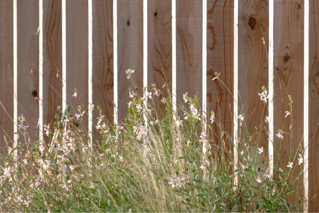 wildflower and wooden external landscaping