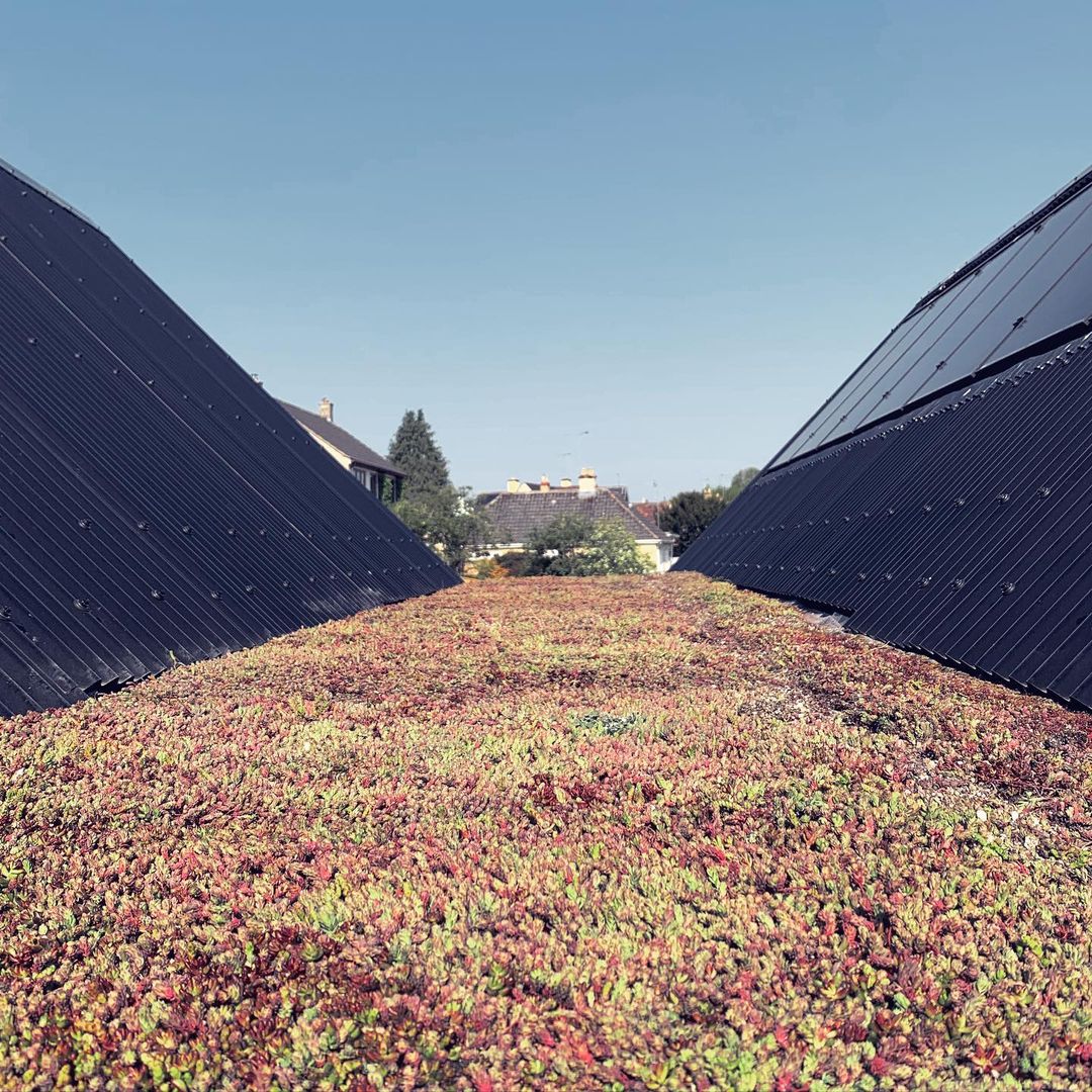 green roof in roof valley