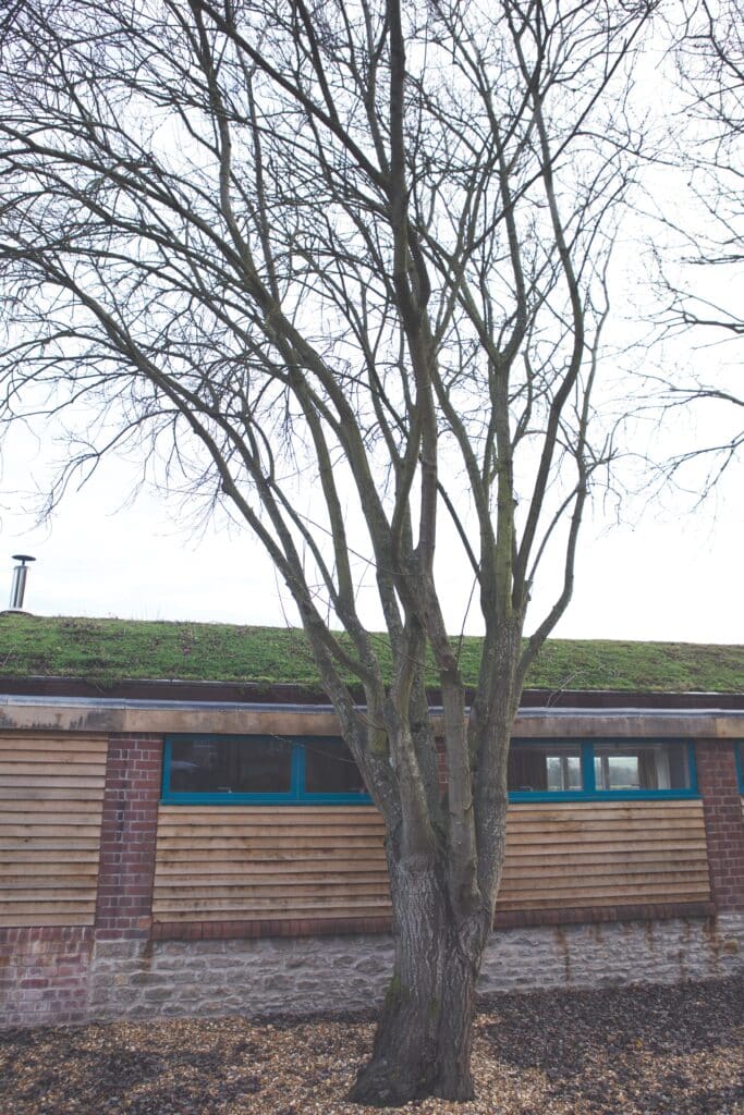 green roof on rural farm building conversion